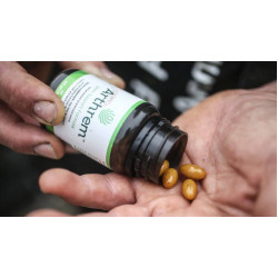 Arthrem Joint Support Formula 60 Capsules Arthrem Joint Support Formula 60 Capsules