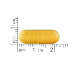 Coyne Healthcare Bio-Curcumin Advanced with Boswellia 60 Vege Capsules Coyne Healthcare Bio-Curcumin Advanced with Boswellia 60 Vege Capsules