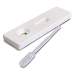David One Step Cassette Pregnancy Test David One Step Cassette Pregnancy Test