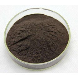 Everyday Health Black Ant Extract Qi Tonic 60 Capsules Everyday Health Black Ant Extract Qi Tonic 60 Capsules