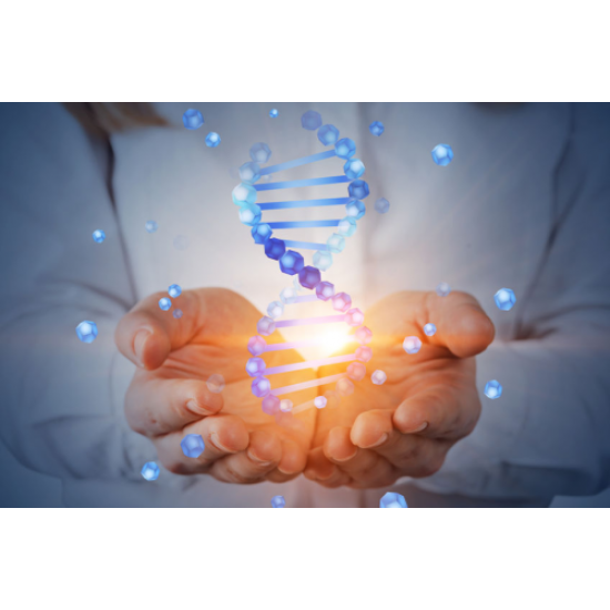 EZZ NMN 175000mcg Nicotinamide Mononucleotide