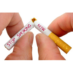 Habitrol Patches Step 2 Nicotine 14mg 7s Habitrol Patches Step 2 Nicotine 14mg 7s