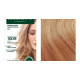 Herbatint Permanent Haircolour Gel 10DR Light Copperish Gold