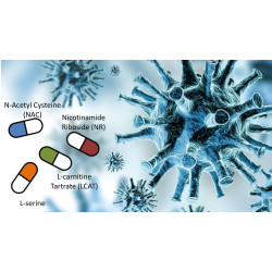 NZLF NAC N-Acetyl L-Cysteine Pure Powder 100g