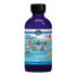 Nordic Naturals Children's DHA Liquid Strawberry Flavour 119ml