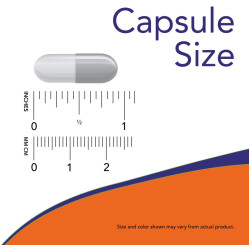 Now Foods Glucosamine & MSM 60 Capsules Now Foods Glucosamine & MSM 60 Capsules
