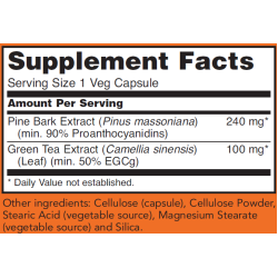 Now Foods Pine Bark Extract 240mg 90 Capsules