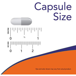 Now Foods Policosanol Double Strength 20mg 90 Capsules Now Foods Policosanol Double Strength 20mg 90 Capsules