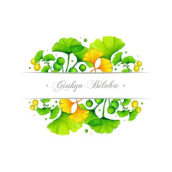 NutraLife Ginkgo 10,000 Plus 30 Capsules NutraLife Ginkgo 10,000 Plus 30 Capsules