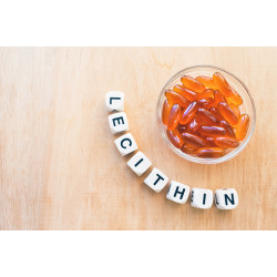 NutraLife Lecithin 1200mg 240 Capsules NutraLife Lecithin 1200mg 240 Capsules