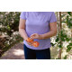 Omrub Certified Organic Muscle Rub 24g Omrub Certified Organic Muscle Rub 24g