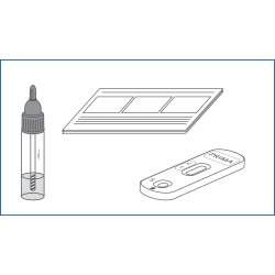 Prima Home Test Bowel FOB Self Test Prima Home Test Bowel FOB Self Test