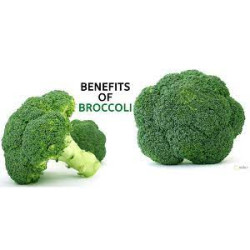 Pro Life Super Broccoli 9000mg 120 Capsules Pro Life Super Broccoli 9000mg 120 Capsules