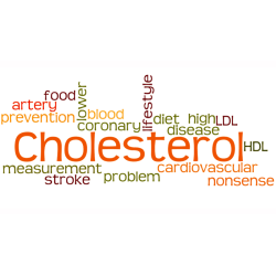 Sanderson Cholesterol FX 90 Capsules Sanderson Cholesterol FX 90 Capsules
