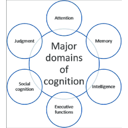 Sanderson Cognition FX 60 Tablets Sanderson Cognition FX 60 Tablets
