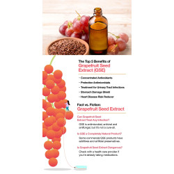 Sanderson Grape SeedMAX 60,000 90 Capsules Sanderson Grape SeedMAX 60,000 90 Capsules