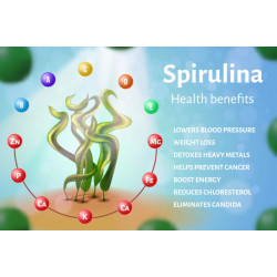 Sanderson Hawaiian Spirulina 1000mg Verified Non-GMO 300 Tablets Sanderson Hawaiian Spirulina 1000mg Verified Non-GMO 300 Tablets