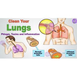 Sanderson Lung & Congestion FX 60 Capsules