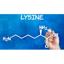 Sanderson Lysine Lip FX 60 Tablets Sanderson Lysine Lip FX 60 Tablets