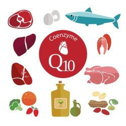 Sanderson Premium Co-Enzyme Q10 160mg 60 Capsules Sanderson Premium Co-Enzyme Q10 160mg 60 Capsules