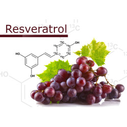 Sanderson Resveratrol Double Strength 450mg 60 Capsules Sanderson Resveratrol Double Strength 450mg 60 Capsules