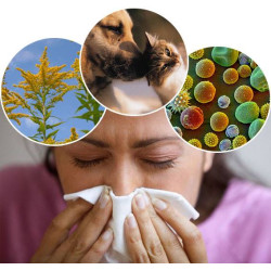 Sanderson Sinus & Allergy FX 60 Capsules Sanderson Sinus & Allergy FX 60 Capsules