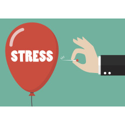 Sanderson Stress FX 60 Tablets Sanderson Stress FX 60 Tablets