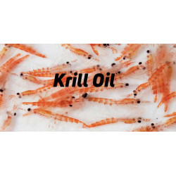Sanderson Superior Red Krill Oil 500mg 60 Capsules Sanderson Superior Red Krill Oil 500mg 60 Capsules