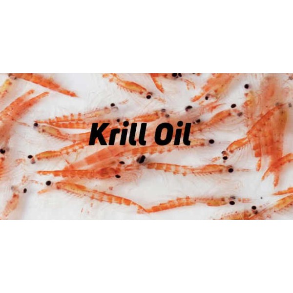 Sanderson Superior Red Krill Oil 500mg 60 Capsules