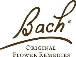 Bach Rescue Remedy Pastilles Original Flavour 50g - Natural Stress Relief. Sugar Free. Alcohol Free.