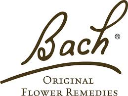 Bach Rescue Remedy Spray 20ml - Relief From Feelings Of Stress. Panic Attack Solutions.